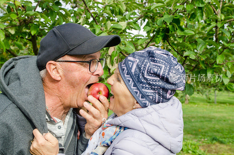 高年级夫妇啃着同一个苹果