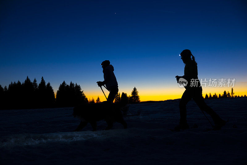 两个女人和伯尔尼山的宠物狗在夜间滑雪