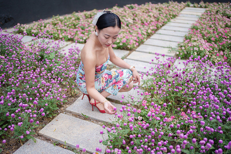 摘花的女人