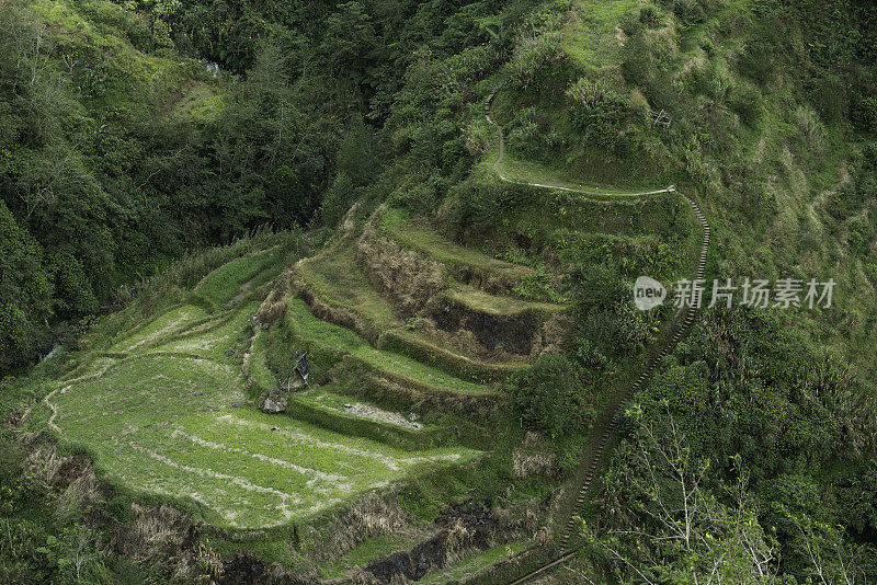 菲律宾巴塔德的水稻梯田