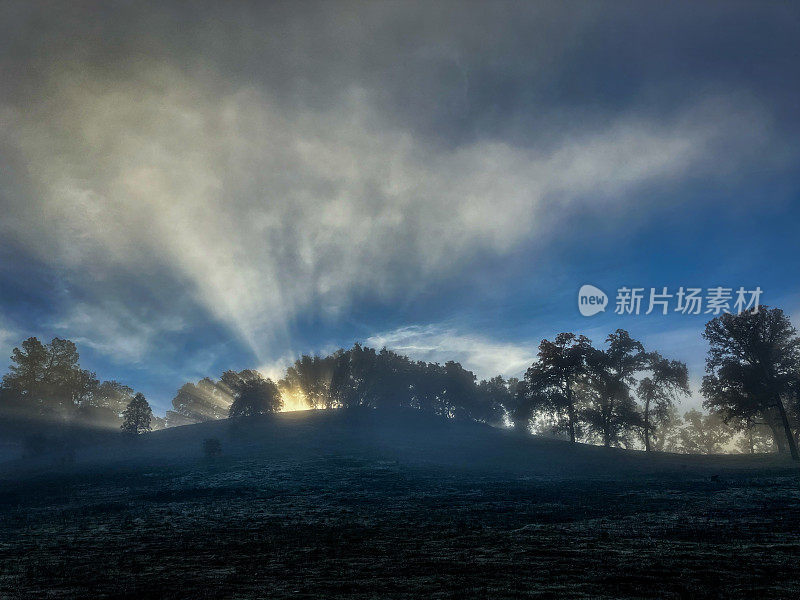 白玉兰牧场地区公园，科洛马，CA