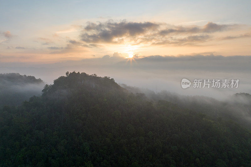 清晨的风景，金色的光线，日出，雾气笼罩着森林。