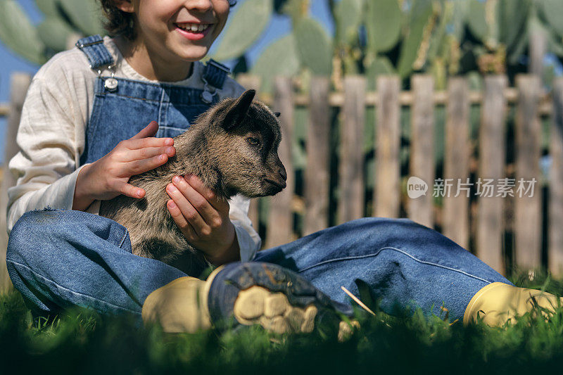 微笑的孩子抚摸着草地上的纯种小山羊