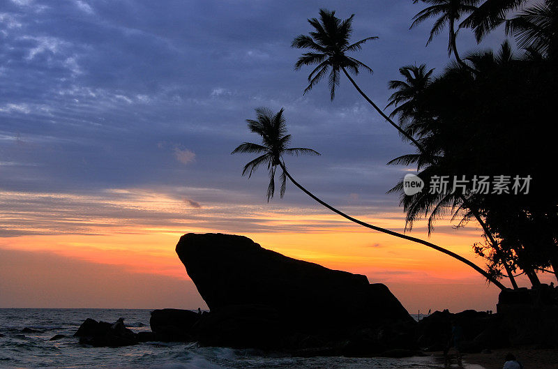 夕阳下棕榈树和岩石的剪影，斯里兰卡乌纳瓦图纳