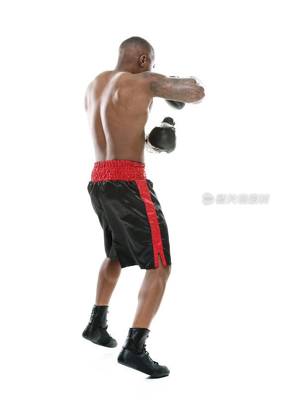 后视图的肌肉拳击手拳击