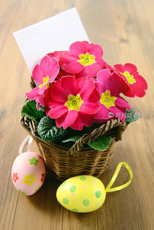 有报春花的篮子里有复活节彩蛋