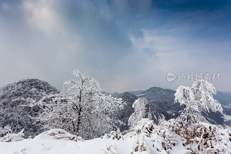 山上的树木覆盖着白霜和白雪