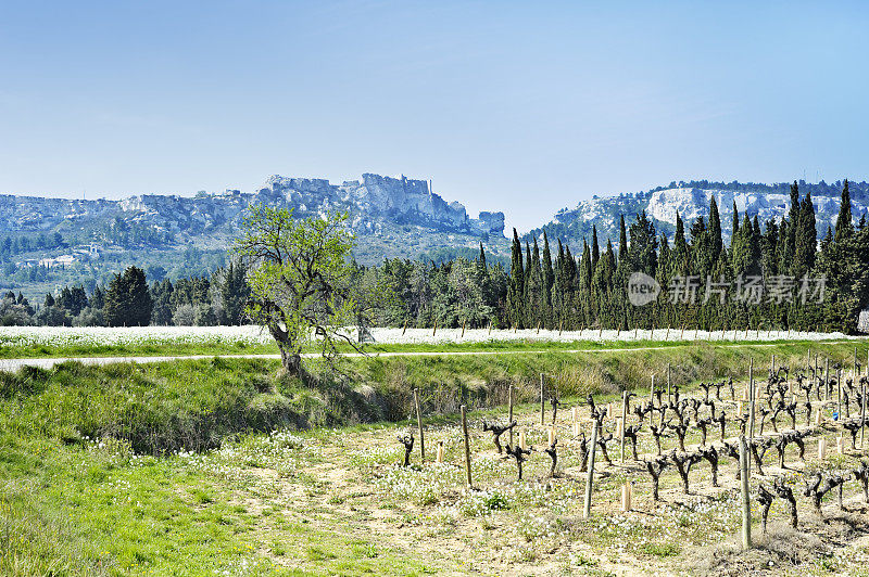 Les-Baux-de-Provence城堡和景观