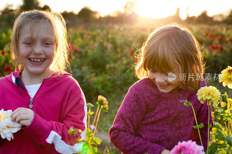 两个可爱的女孩在花圃里