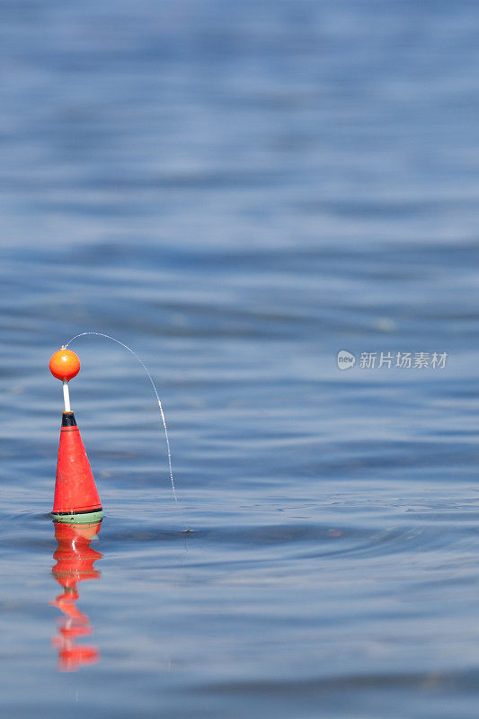 浮在水面上