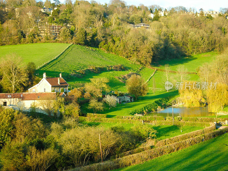 树篱和牧场，英格兰农村，英格兰