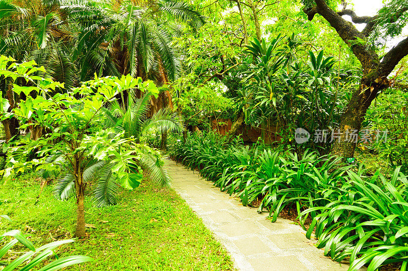 台湾台北植物园