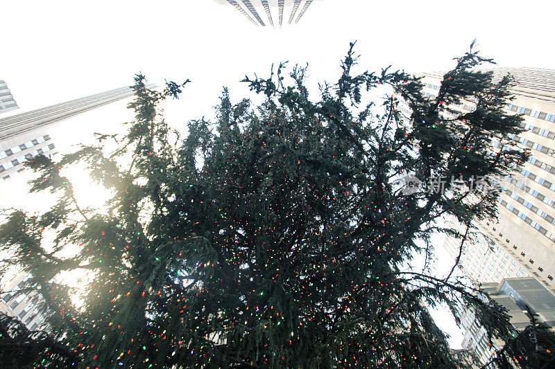 洛克菲勒中心圣诞树