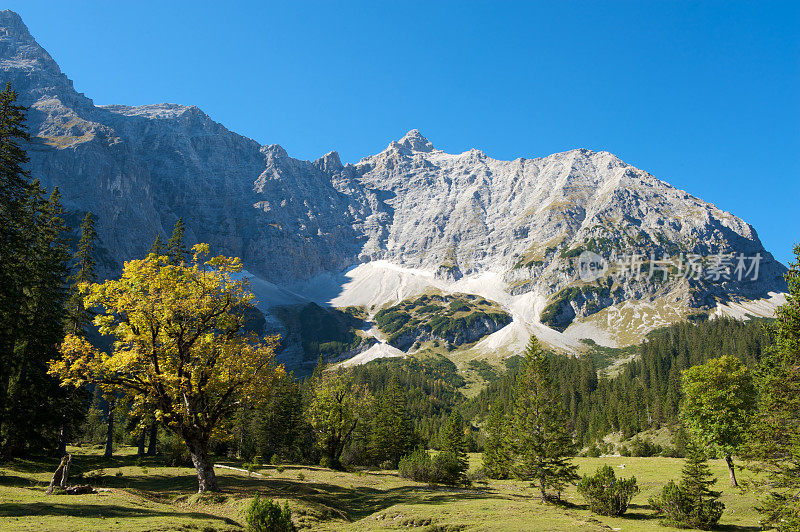 阿尔卑斯山