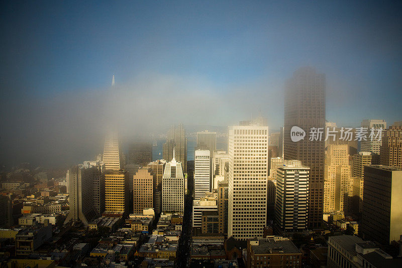 迷雾笼罩的旧金山市中心