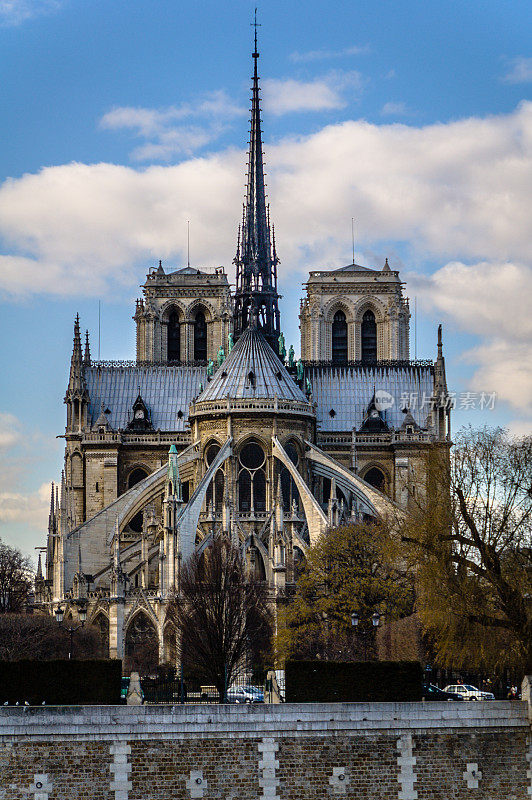 巴黎圣母院后视图，法国巴黎