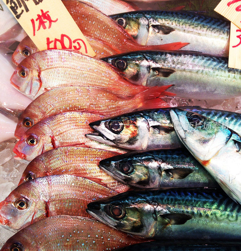 日本的鱼市场