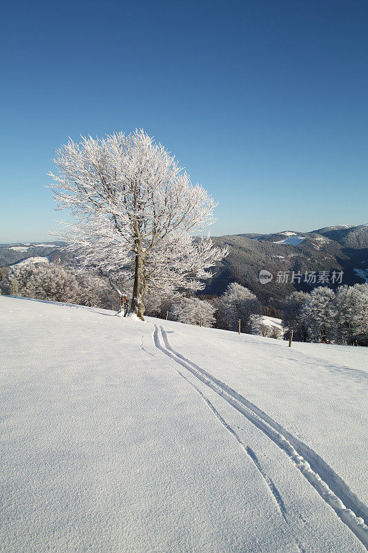 下雪的冬天的风景