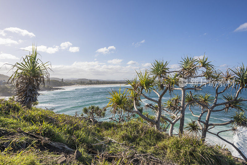 纯净的海滩在卡布里塔，新南威尔士，澳大利亚