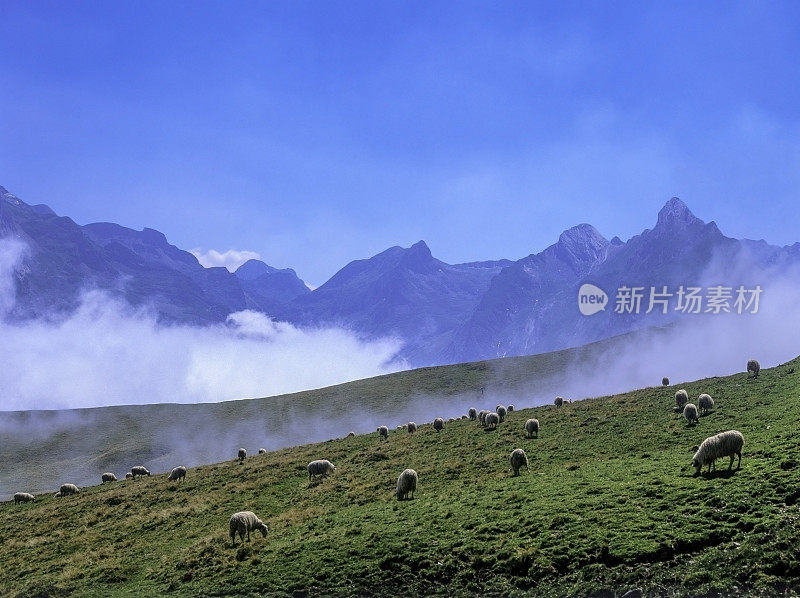 庇里牛斯山