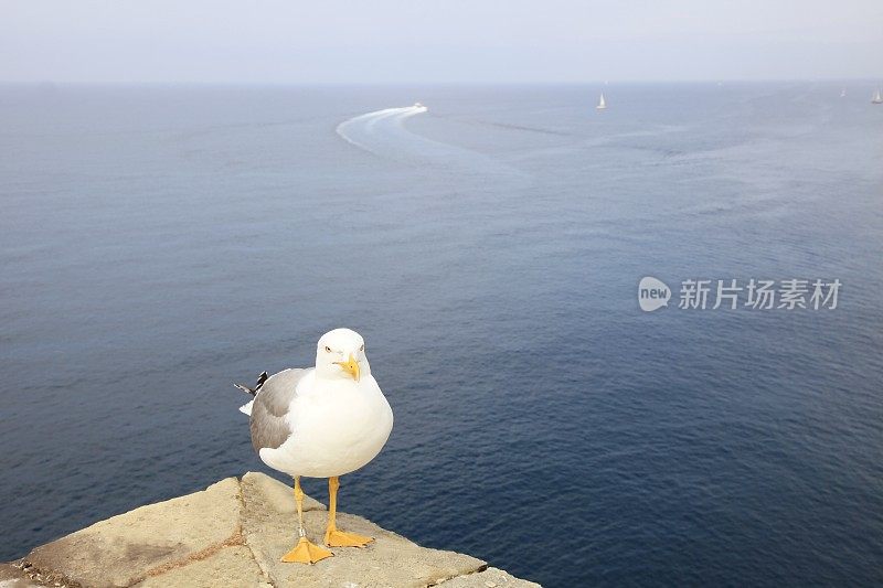 地中海上空的海鸥——意大利五馆