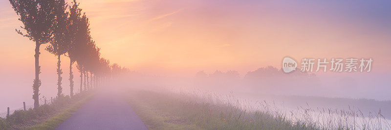 荷兰典型的沼泽景观中雾蒙蒙的日出