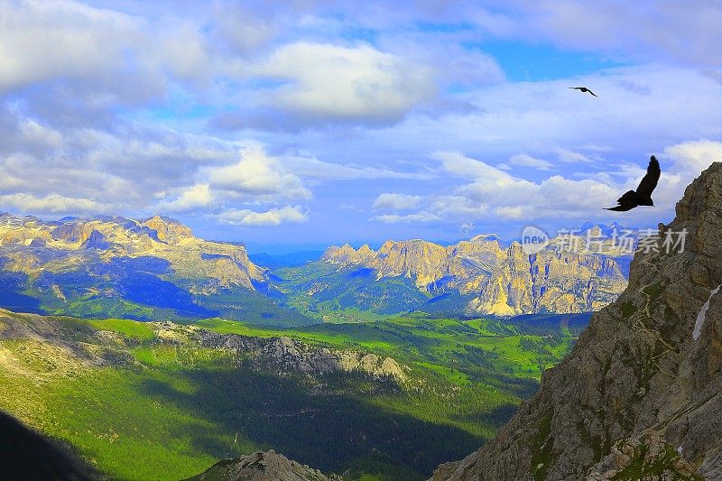 自由:在Dolomites上空飞翔的鹰，Sudtirol在日出时