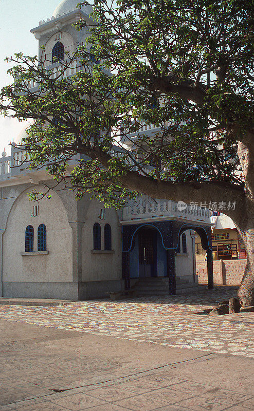 非洲塞内加尔达喀尔附近的清真寺和猴面包树