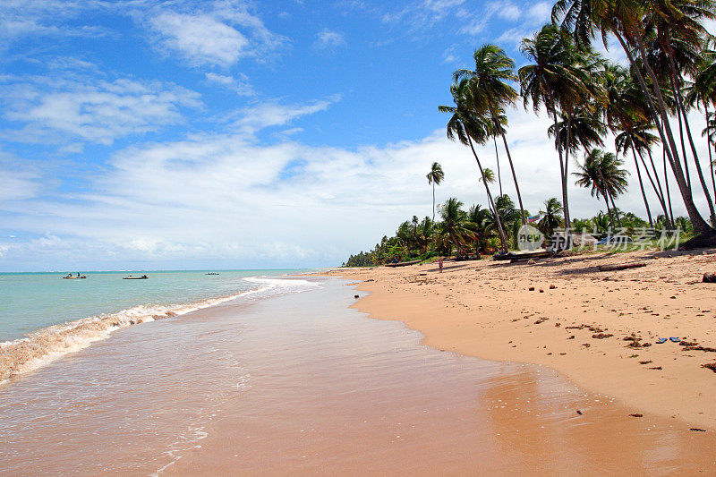 美妙的海滩(巴西)