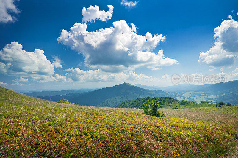 山景城，波兰，比斯扎迪