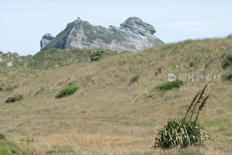 新西兰乡村景色