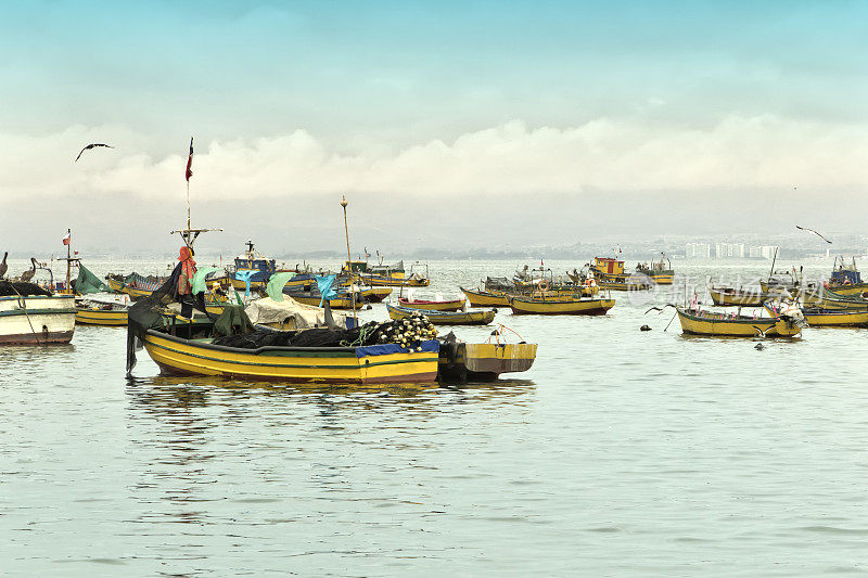 智利科金波港。