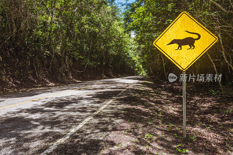 食蚁兽警告动物过关标志危地马拉蒂卡尔