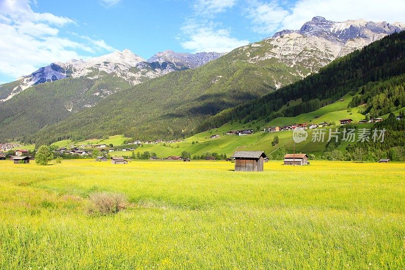 阿尔卑斯山附近的景观Neustift在斯图拜特雄伟的斯图拜山谷，戏剧性的蒂罗尔雪山全景和田园诗般的蒂罗尔草原，奥地利