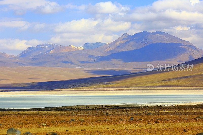 田园诗萨拉德塔拉蓝泻湖，盐沼-火山和田园诗阿塔卡马沙漠高原，火山景观全景-圣佩德罗阿塔卡马，智利，Bolívia和阿根廷边境