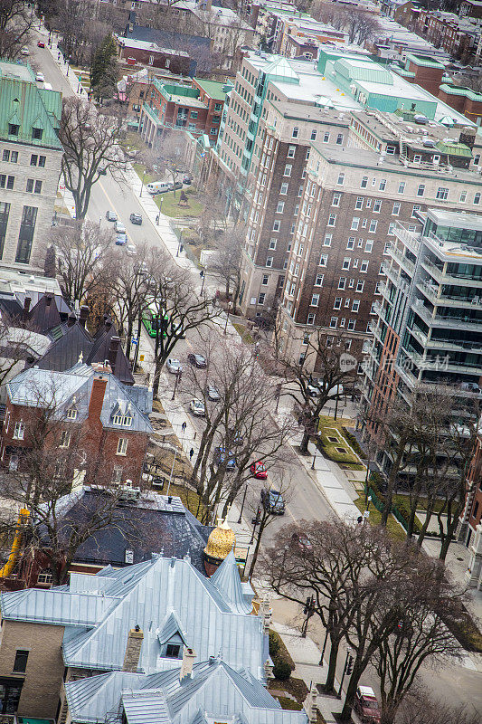 魁北克市的城市景观，Québec的加拿大省的首府城市，它成立于1608年，历史建筑紧邻现代建筑。