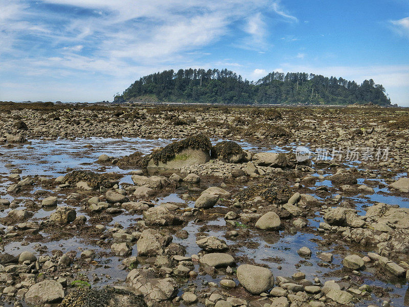 华盛顿奥林匹克海岸，阿拉瓦角，低潮，岛屿