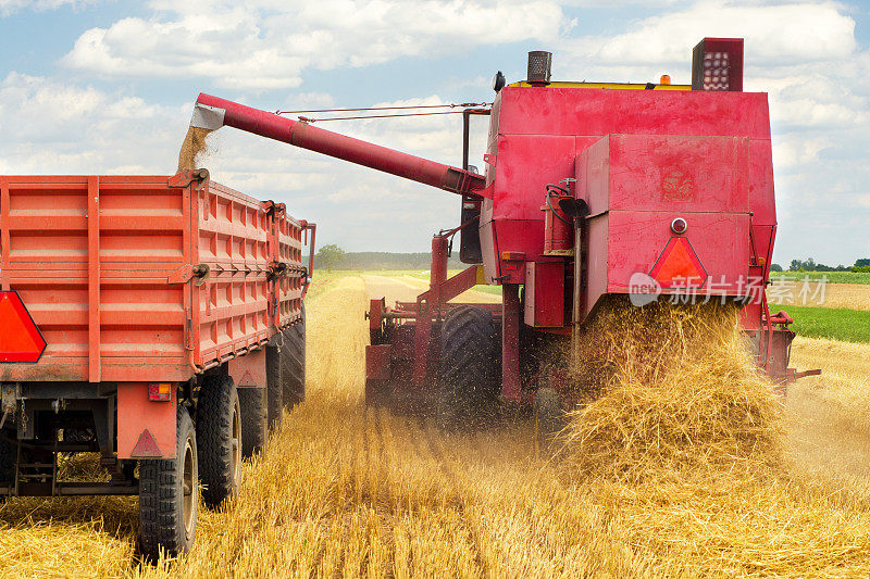 收割机在夏季联合收割机收割小麦