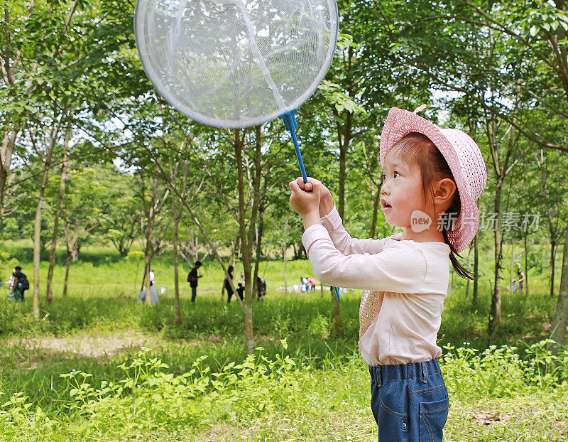 可爱的亚洲小女孩在田野与昆虫网在夏天。