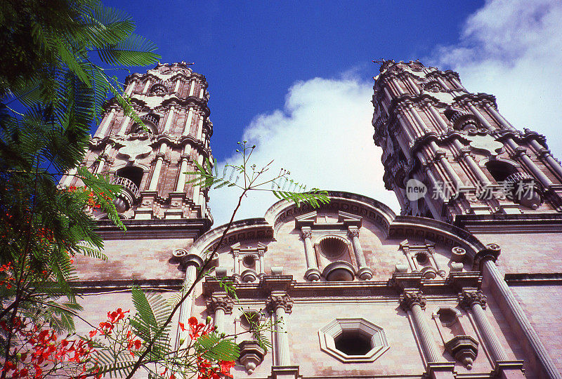 大教堂尖顶和鲜花在Coatzacoalcos韦拉克鲁斯墨西哥