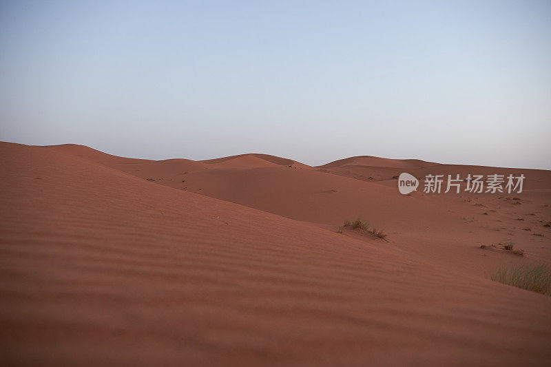 非洲,摩洛哥,这里到梅合组噶