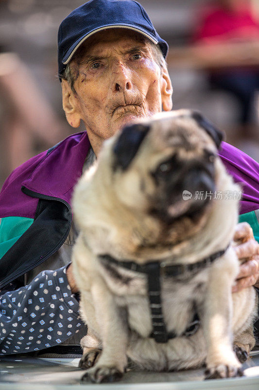 沉思的老人和他的狗