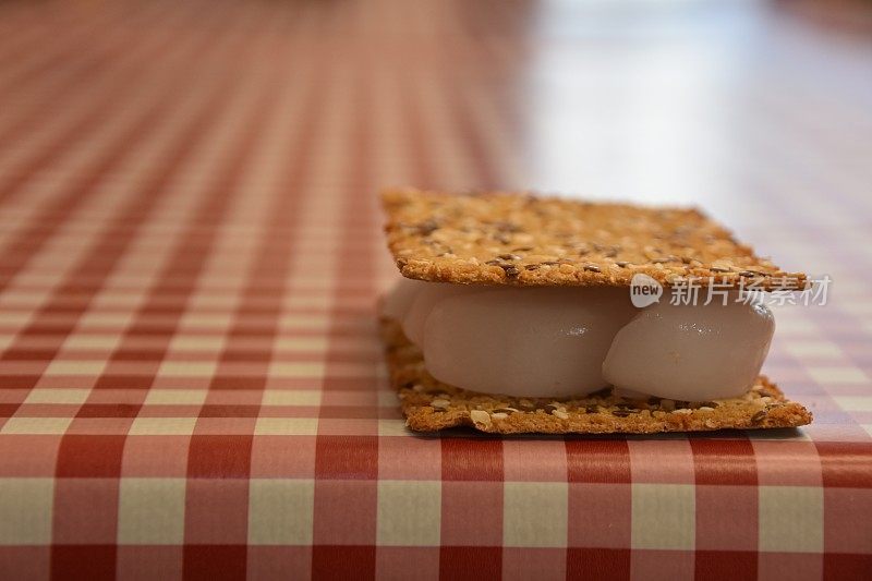 减肥食品概念，饼干上的冰块