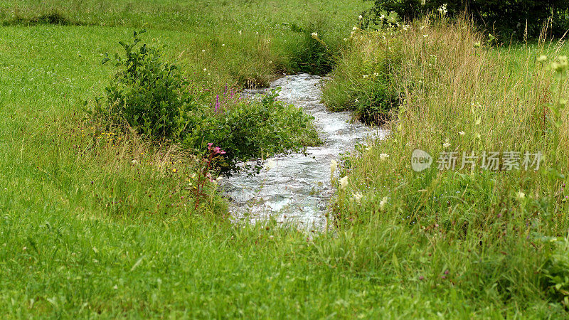 一条小溪流过草地