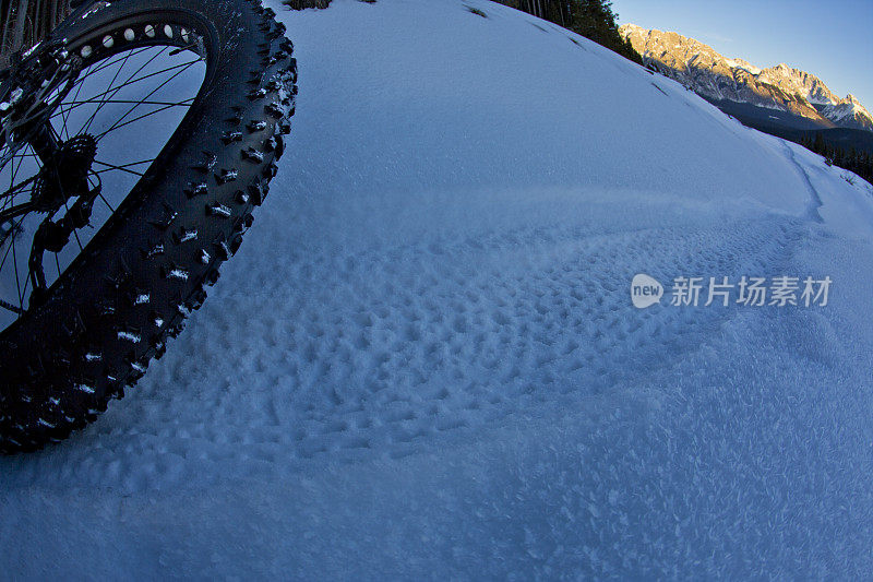 Fatbike小道冒险