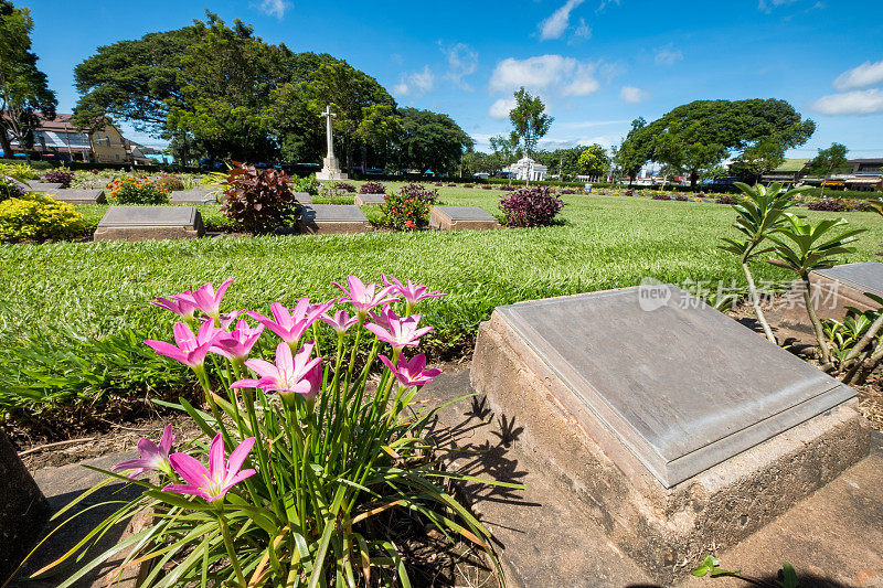 墓地空白墓碑基督教vitmics与粉红色的花世界大战的历史