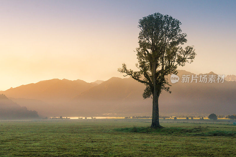 夏季新西兰库克山风景优美