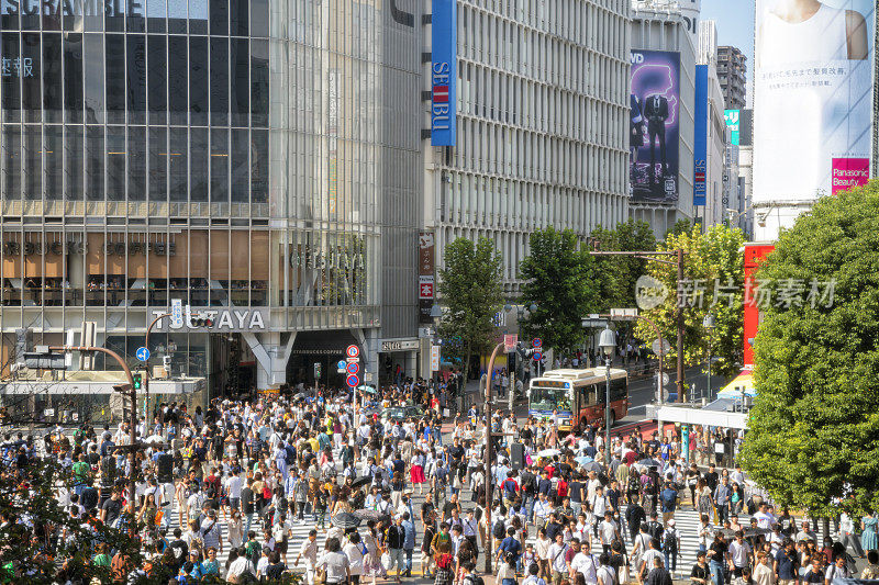 日本东京涩谷十字路口鸟瞰图