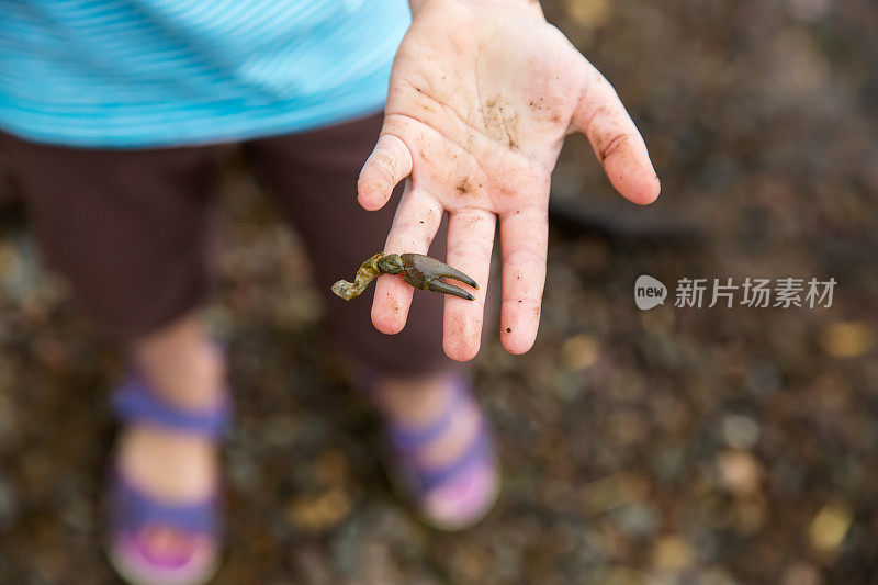 一个女孩拿着她在河岸上发现的小龙虾爪子