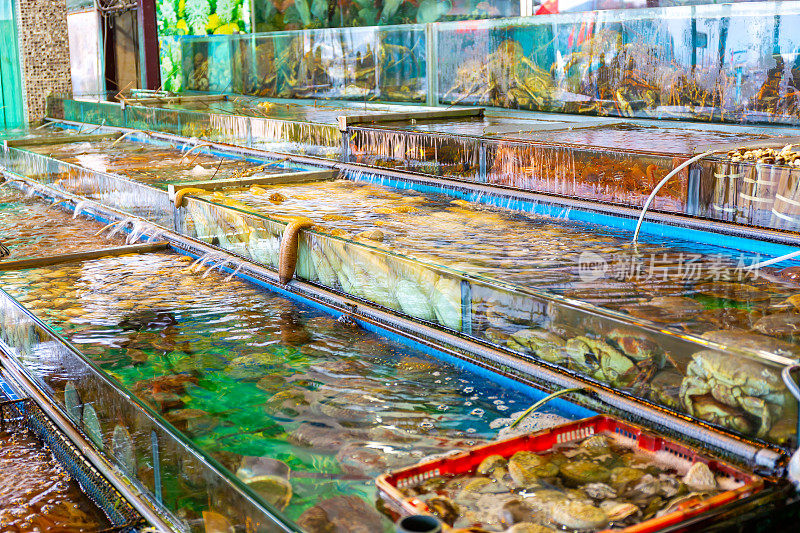 香港西贡海鲜市场鱼缸